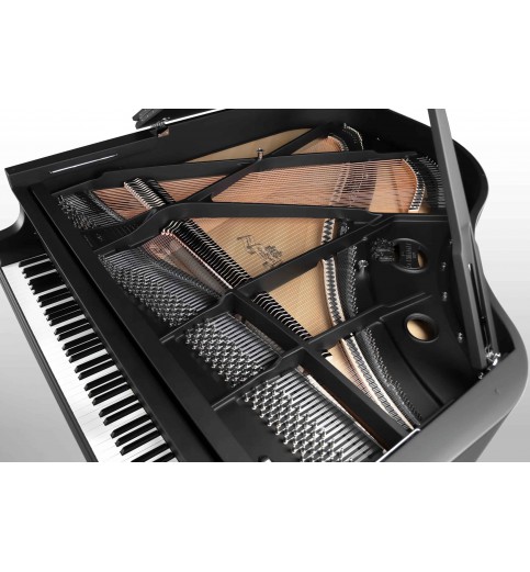 Schimmel Classic C169 Black Pearl